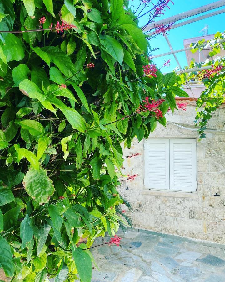 אתונה Little Cottage מראה חיצוני תמונה